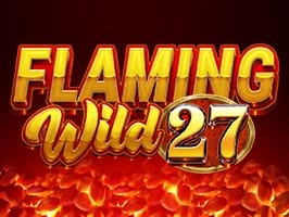 Flaming Wild 27 screenshot