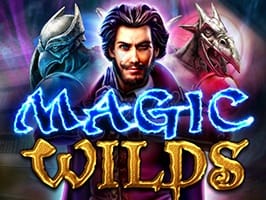 Magic wilds screenshot
